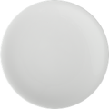 China By Denby Dinner Plate -