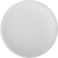 China By Denby Dinner Plate -