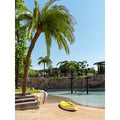 Dolphin Planet Hotel & SPA