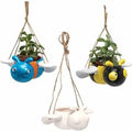 Flying Insect Bug Ceramic Hanging Flowerpots (Box of 3) Ceramic & Porcelain