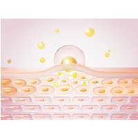 LED Therapy Cap For Hair Growth-LED & Laser Standard