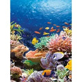 Jigsaw Puzzle - 1000 Pieces - Coral Reef