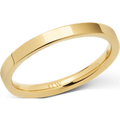 Daniel Wellington DW Line 54 Gold