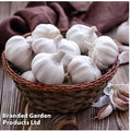 Garlic 'Cledor' Softneck Bulbs - Spring & Autumn Planting, 2-Pack | Wowcher
