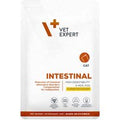 Intestinal Katze - 100g – VET Diätfutter