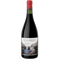 Altos Las Hormigas Meteora Malbec 2021