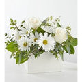 Fresh Linen Box Bouquet