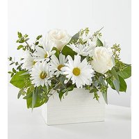 Fresh Linen Box Bouquet