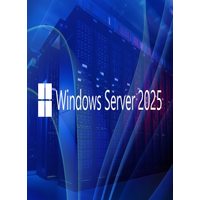 Microsoft Windows Server 2025 RDS 10 Device CAL