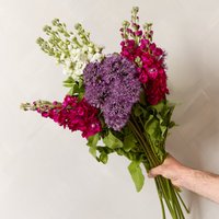 Florists' Pick