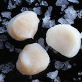 BlackboxMeats Wild Caught Large Sea Scallops