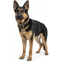 Rebel Skulls Studded Collar for German Shepherd - M