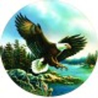 Eagle Landing