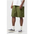Dickies Pelican Rapids Shorts, verde