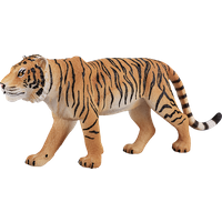 Bengal Tiger