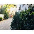 Galina Guest House