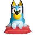 Bluey Nachtlamp en Zaklamp