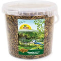 JR Farm ларви на Hermetia/черна войнишка муха - 400 г
