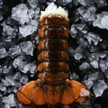 BlackboxMeats Atlantic Cold Water Lobster Tails