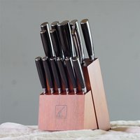16-Piece Japanese Knife Set