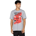 Camiseta Chicago Bulls Masculina NBA Manga Curta Backcourt