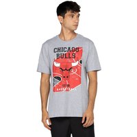 Camiseta Chicago Bulls Masculina NBA Manga Curta Backcourt