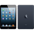 Apple iPad Mini 32GB Wifi schwarz