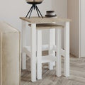 Gina Wooden Nesting Side Tables in White and Sapphire Oak