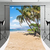 Sunshine Beach Boat Trees Sweep Photoshoot Backdrop - Aperturee