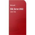Microsoft SQL Server 2022 Standard 50 User CAL