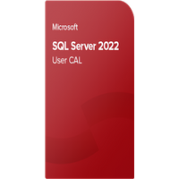 Microsoft SQL Server 2022 Standard 50 User CAL