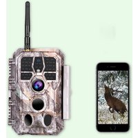 Caméra de Chasse WiFi Bluetooth, 64MP HD 1296P et Vision Nocturne,0.1S Temps de Déclenchement,No Glow LED Infrarouge et IP66 Étanche|A280W Gris