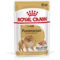 Royal Canin Vopino di Pomerania (Pomeranian) Adult Patè umido per cane - Set %:  24 x 85 g