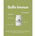 AHIPOS SULFO IMMUN – Sulforaphan und Spirulina