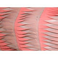 Deadstock Embroidered Sheer Chiffon Fabric Pink