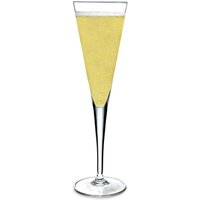Atelier Prestige Trumpet Champagne Flutes 5.5oz / 160ml (Case of 24)