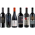 Primitivo Premium Tasting Case