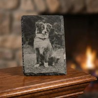 Photograph Dog Engraving On Slate