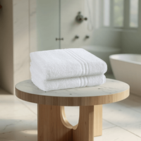 500GSM 100% Cotton Institutional/Hotel Bath Sheets