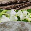 Vanilla and Sea Salt
