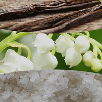 Vanilla and Sea Salt