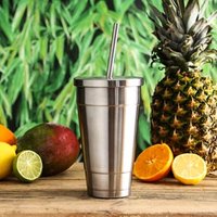 Insulated Stainless Steel Cold Cup with Lid and Straw 16oz / 470ml (Single)