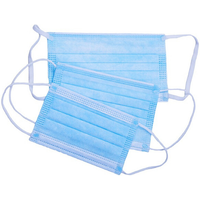 Disposable 3 Ply Face Masks - Incto - 10 Pack