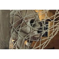Dead Man's Cove 1-Hour Escape Room for up to 6 People - Trapp'd, Kettering | Wowcher