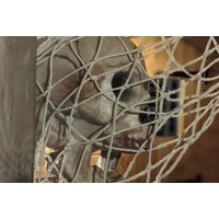 Dead Man's Cove 1-Hour Escape Room for up to 6 People - Trapp'd, Kettering | Wowcher