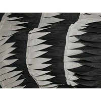 Deadstock Embroidered Sheer Chiffon Fabric Black & Grey