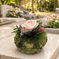 "Pflanzbowl Rosa"