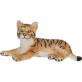 Tiger Cub laying Down