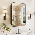 Medicine Cabinet Mirror 16x24 Black Adjustable Shelves Rounded Rectangle Metal Frame Storage Recessed Wall Mount