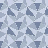 Albany Wallpaper Apex Geo FD41992